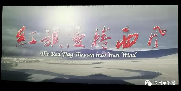 春雨直播app